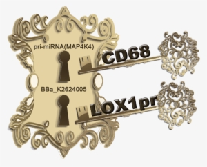 Ath29 Is A Major Atherosclerosis Susceptibility Locus - Emblem #2664195