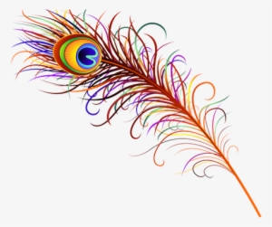 Redd Design Peacock Feather - Peacock Feather Logo Png #2667338