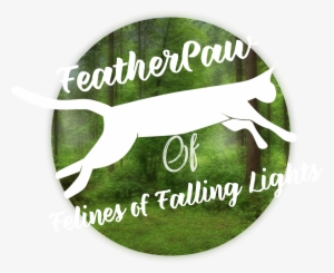 Feather Paw - English Foxhound #2667369