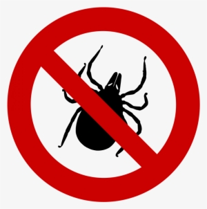 Ticks And Lyme Disease, We Have The Answers To Your - No Left Turn Traffic Sign #2668029