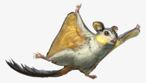 Emolga Arvalis - Arvalis Pokemon Clipart #2668759