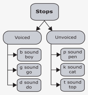 Stops - Speech-language Pathology #2669702