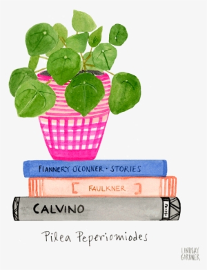 "pilea Peperiodmiodes" Watercolor Painting By Lindsay - Watercolor Painting #2669777