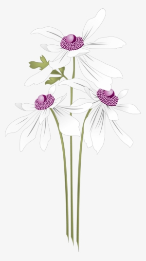 花边 素材 #2670134