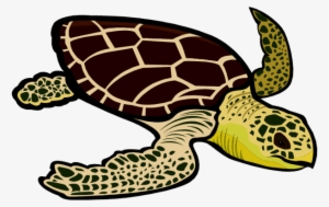 Cute Sea Turtle Clip Art - Green Sea Turtle Clipart #2670570