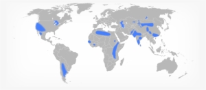 Fluoride Concentrations - India To New Zealand Map #2671419