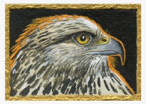 An Orange Backlit Halo Surrounds This Hawk Head As - Golden Eagle #2672457