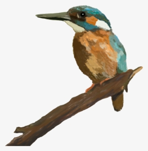 Blauet Disseny 2 Unnamed - Design #2673689