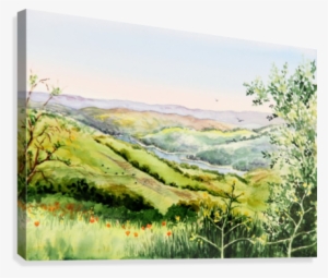 Summer Landscape Inspiration Point Orinda California #2677604