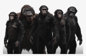 Planet Of The Apes Png #2678055
