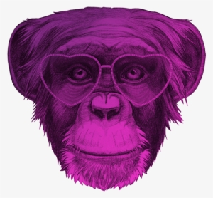 Ape Thinker's Clients Background - Art Print: Victoria Novak's Original Drawing Of Monkey. #2678074