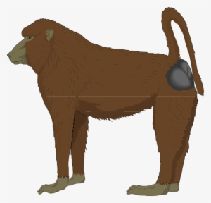 Blue Bottomed Ape Svg Clip Arts 600 X 576 Px #2678298