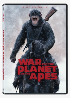 Dvd #2678433
