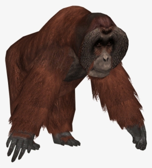 Ape Clipart Transparent Background - Zoo Tycoon Orangutan #2678484