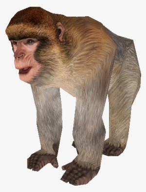 Download Zip Archive - Zoo Tycoon 2 Barbary Ape #2678759