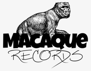 Gilman Mom Reviewed By The Bandcamp Diaries - Monkey 5'x7'area Rug #2678803