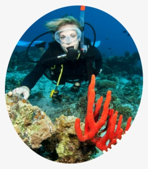 Banner-img - Banner #2678879