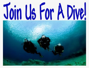 Join Us For A Dive - Scuba Diving #2678936
