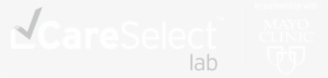 Careselect Lab Is Founded In More Than 1,800 Best-practice - Mayo Clinic #2679671