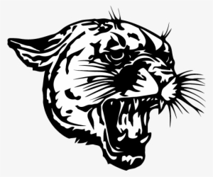 Coleman School District - Coleman Cougars #2679828