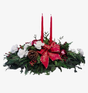 Christmas Glow - Anthurium #2680978