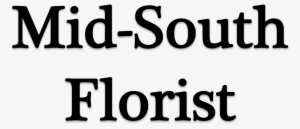 M#south Florist - Baptist Health South Florida Logo Png #2681177