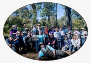 Walk, Roll, And Explore The Woods Near You In Every - Social Group #2682779