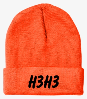 Fold Up Cuff Beanie #2682803