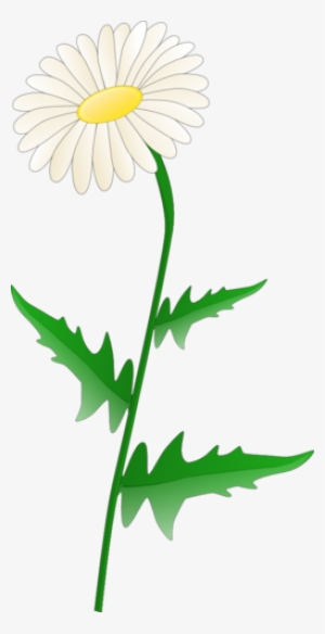 Daisies Clipart Public Domain - Daisy Clipart #2683553