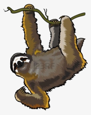 Dylan Obrien Transparent Tumblr Tumblr/transparent - Cartoon Sloth No Background #2684887