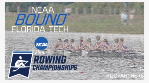 Ncaa #2686861