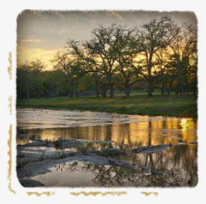 Wedding Venues Near San Antonio - Texas #2690211