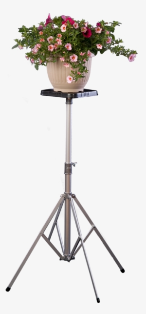 Short, Deluxe Stand Featuring Flower Arrangement - Bouquet #2690464