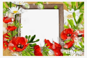 Flower Photo Frame Picture - Picture Frame #2691073