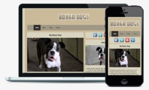 Boxer Dogs Responsive - Dog #2691397