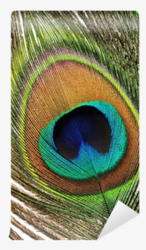 Fjer Påfugl 1 Stk #2691956