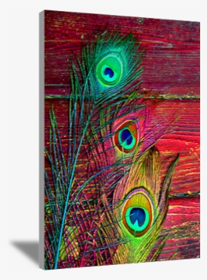 Peacock Feathers Wall Art - Modern Art #2692560