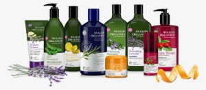 Curated From Nature's Pure Resources, Avalon Organics® #2692611