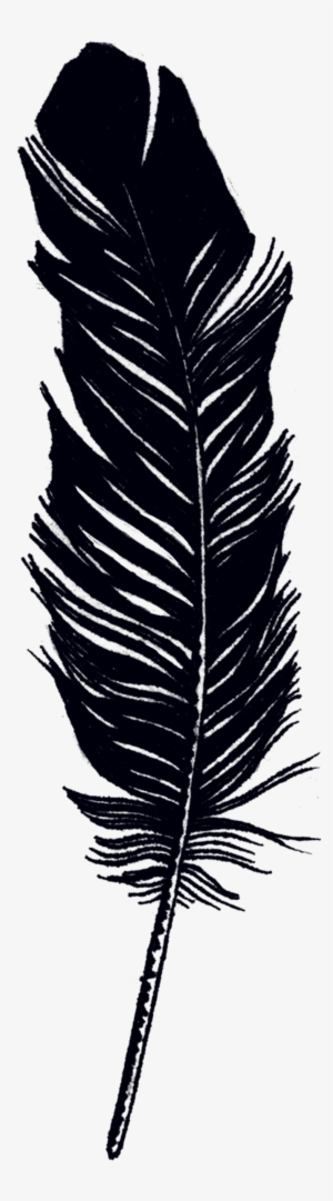 Tattly Feather Jen Mussari 00 V=1532012011 - Tattly Temporary Tattoos - Remix One - Set Of 8, Black #2692799