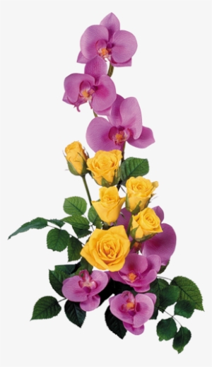 Happy International Women's Day Happy Flowers, Bright - Splash Bunga Png #2693622