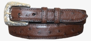 Genuine Full Quill Ostrich Belt, Tobacco - Belt #2694150