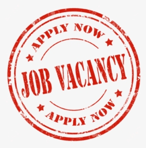 Chartered Accountant - Job Fair #2694890