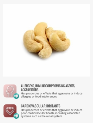 Cashew Nuts - Cashew #2695545