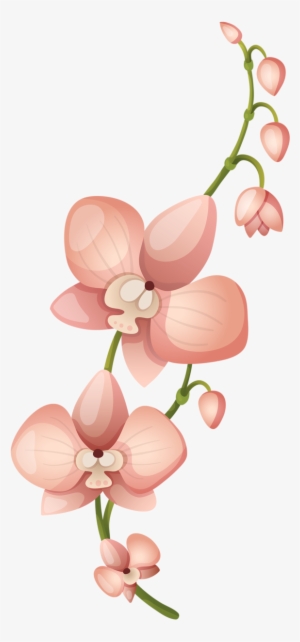 Фото, Автор Soloveika На Яндекс - Flores Sin Png #2696536