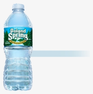 Home / Poland Spring® 100% Natural Spring Water - Poland Spring Water - 24 Pack, 16.9 Fl Oz Bottles #2696880