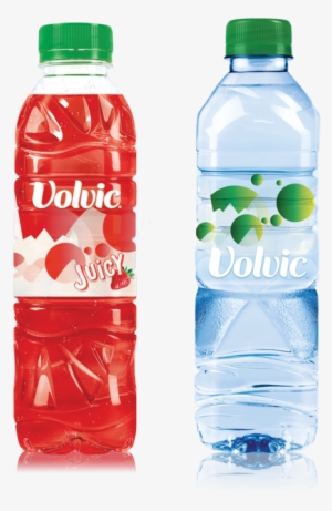 Sofia Lloyd Bottles #2696973