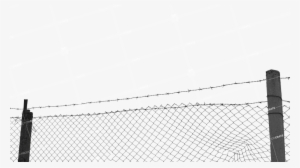 Barbed Wire Fence - Fence #2697170 Barbed Wire Fence - Fence #2697170