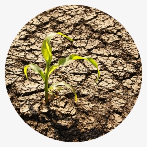 From Implementing Basic Water Use Best Practices To - Effects Of A Monsoon #2698116