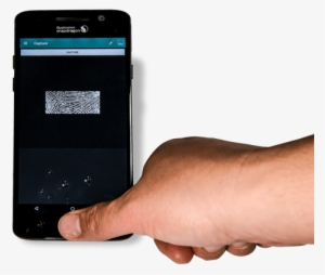 Fingerprint #2698228