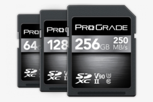 Prograde Digital Sdxc Uhs-ii V90 Memory Card - Memory Card #2698858
